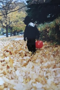 kirstenwalkinginleaves