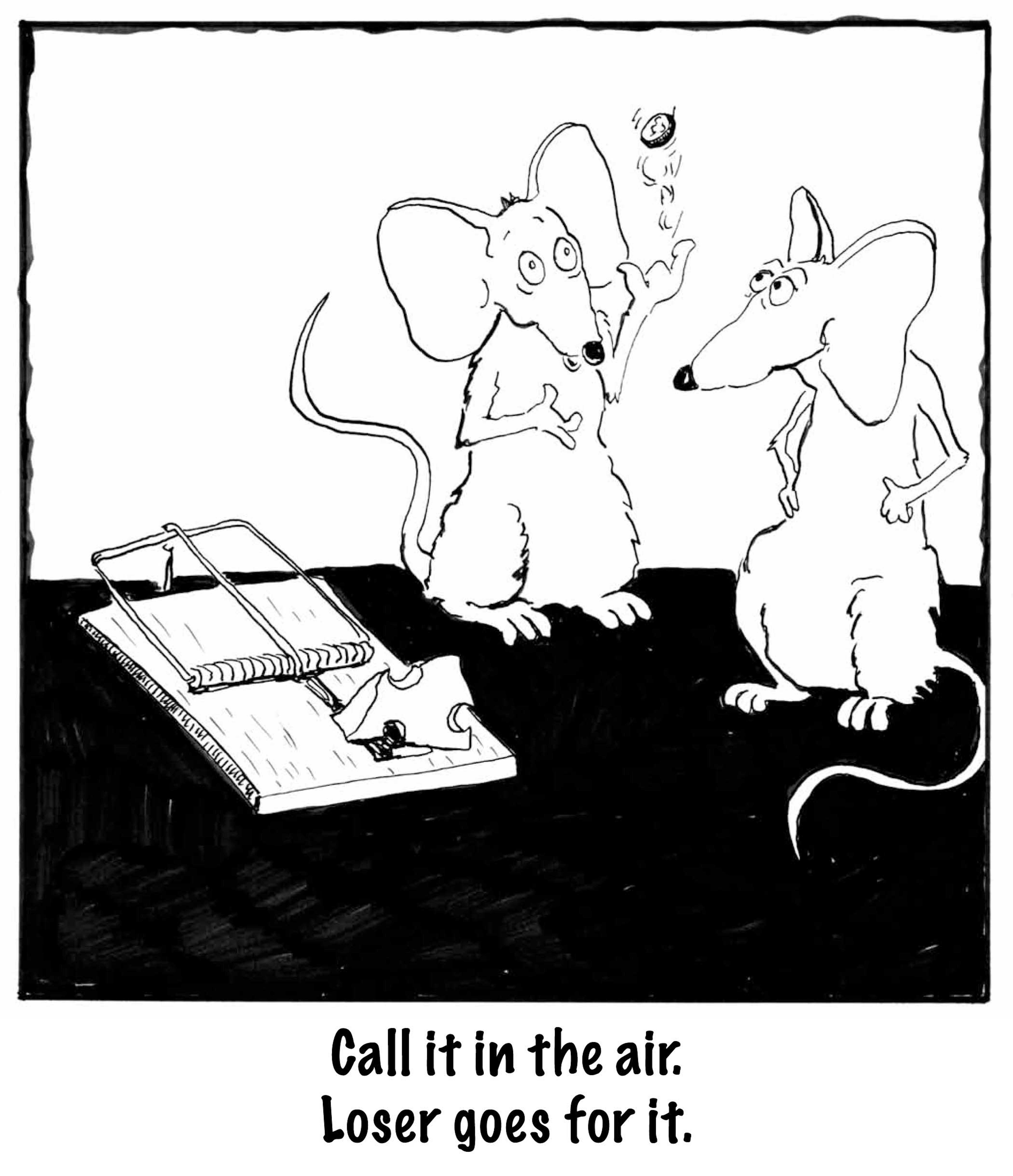 MiceCheese Bigcopy copy 2