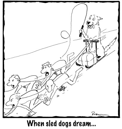 when sled dogs dream jpegBIG copy 2