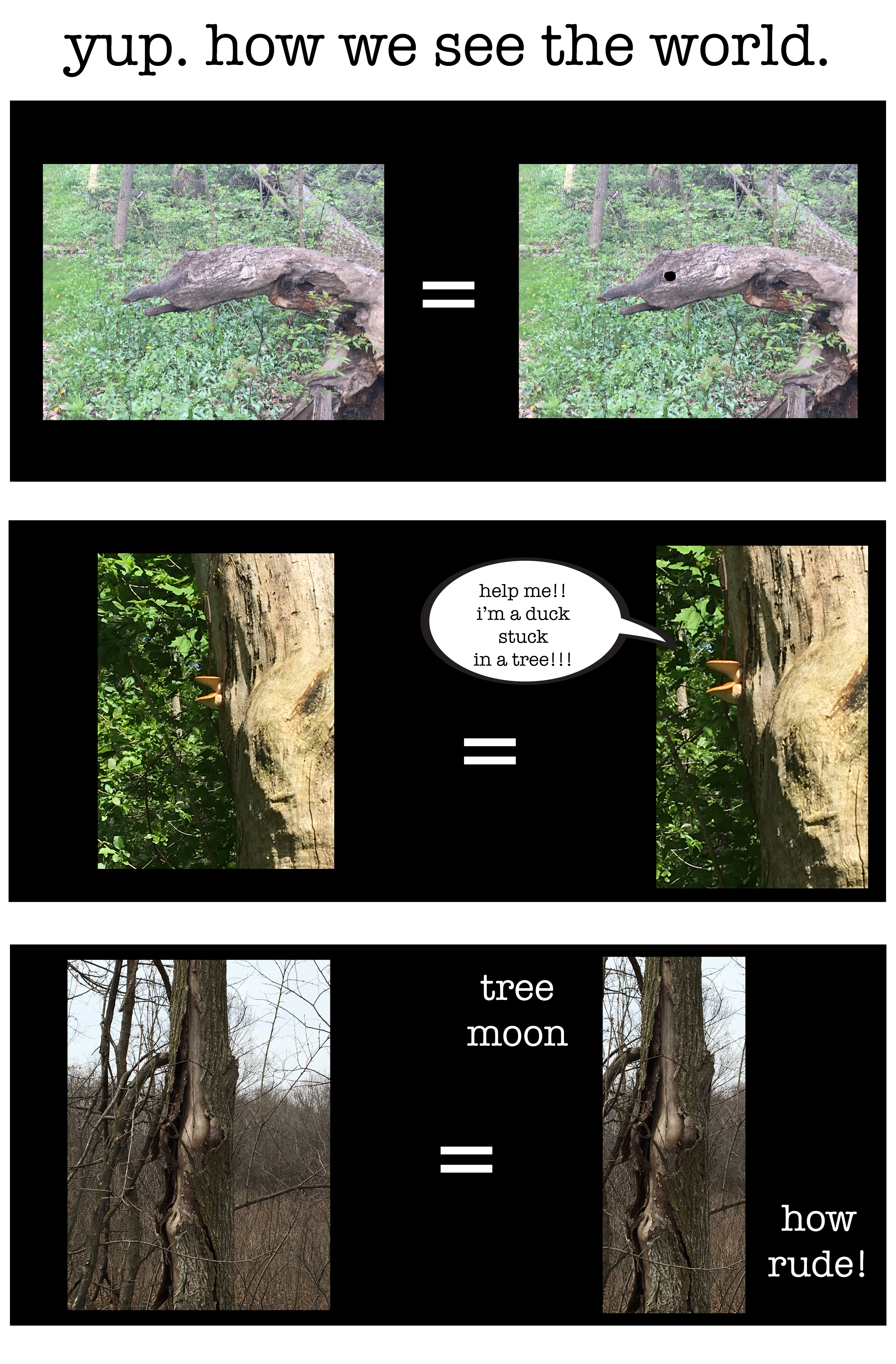 big screen on what we see