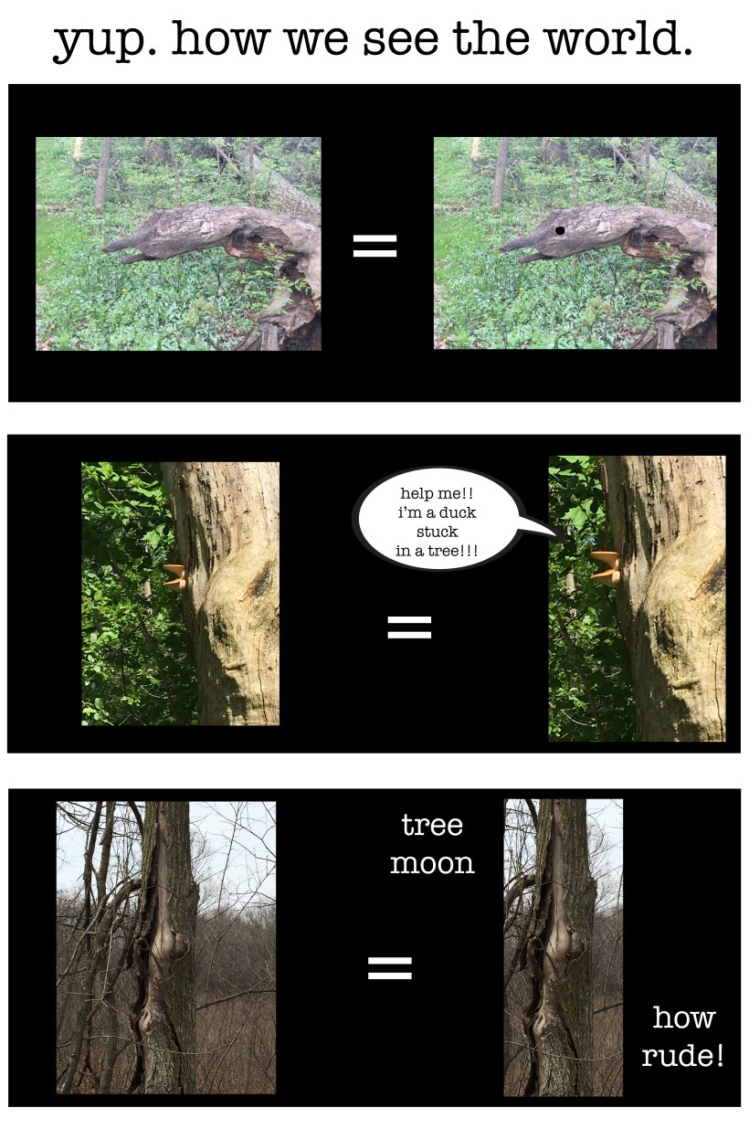 big screen on what we see