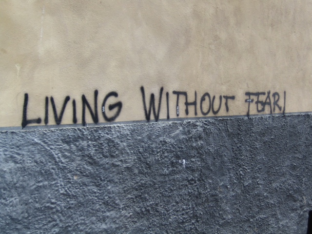 withouttfear copy