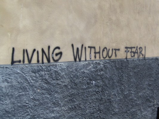 withouttfear copy