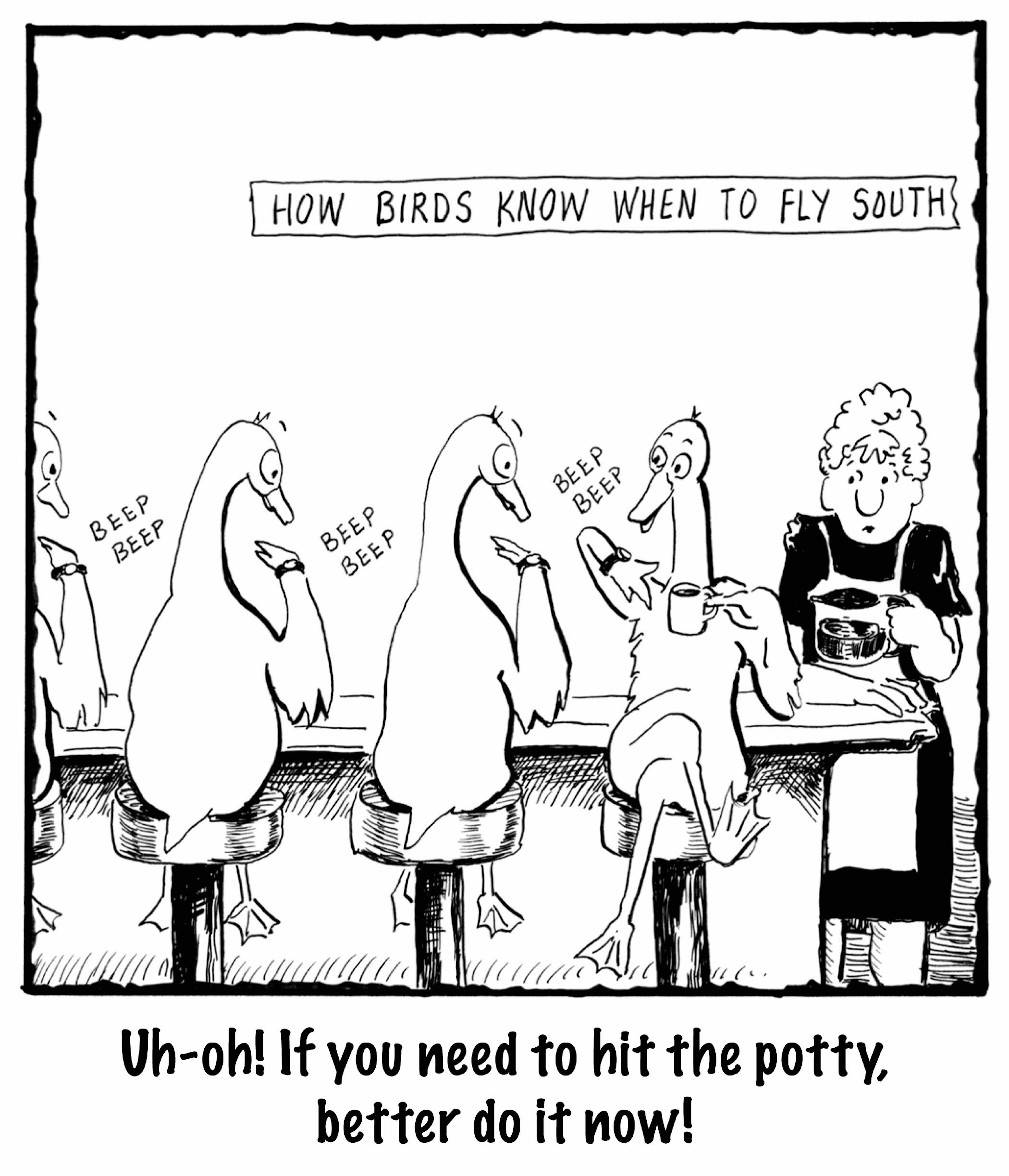 BirdsSouth BIGcopy copy