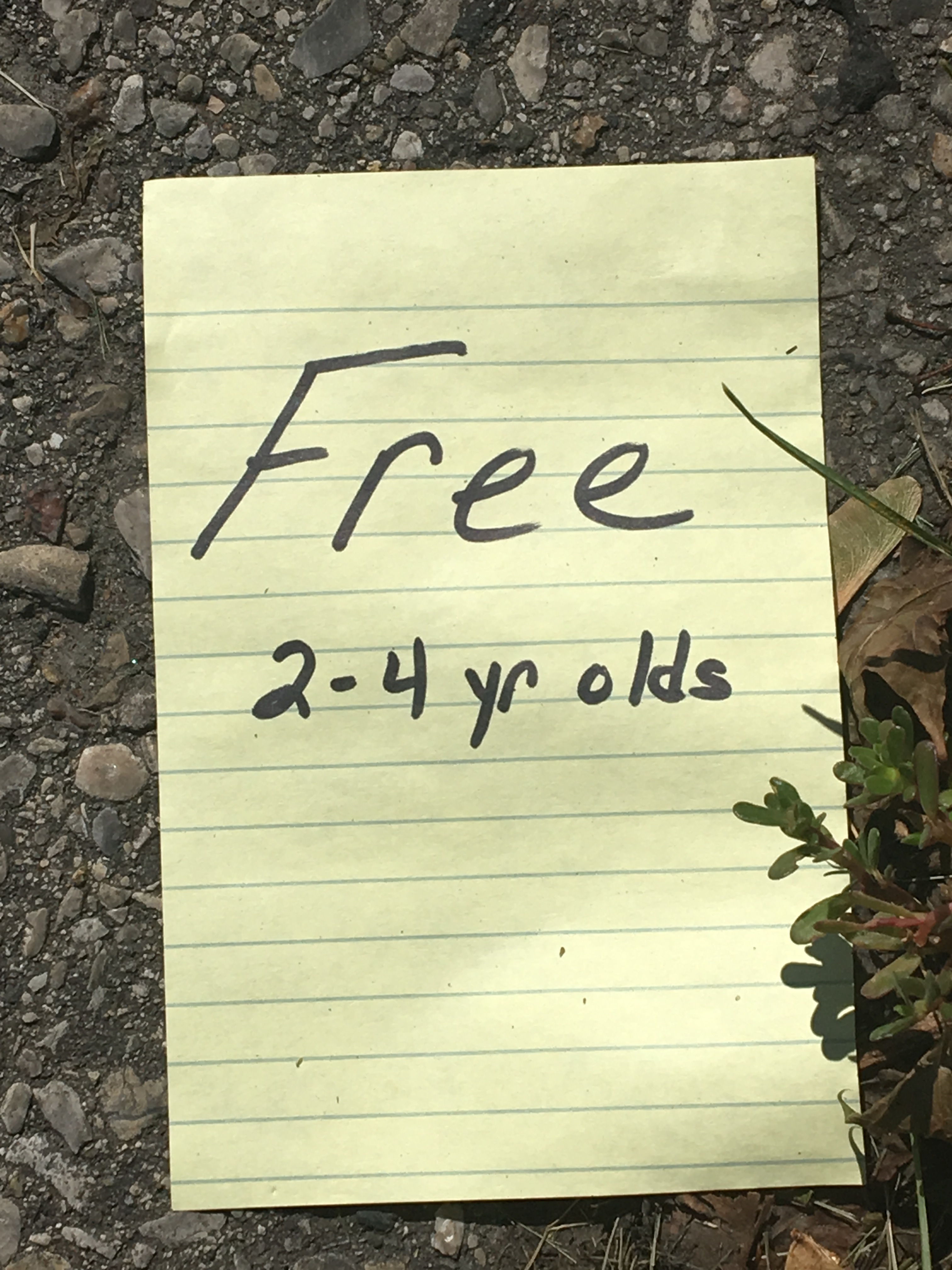 FREE2-4yearOlds
