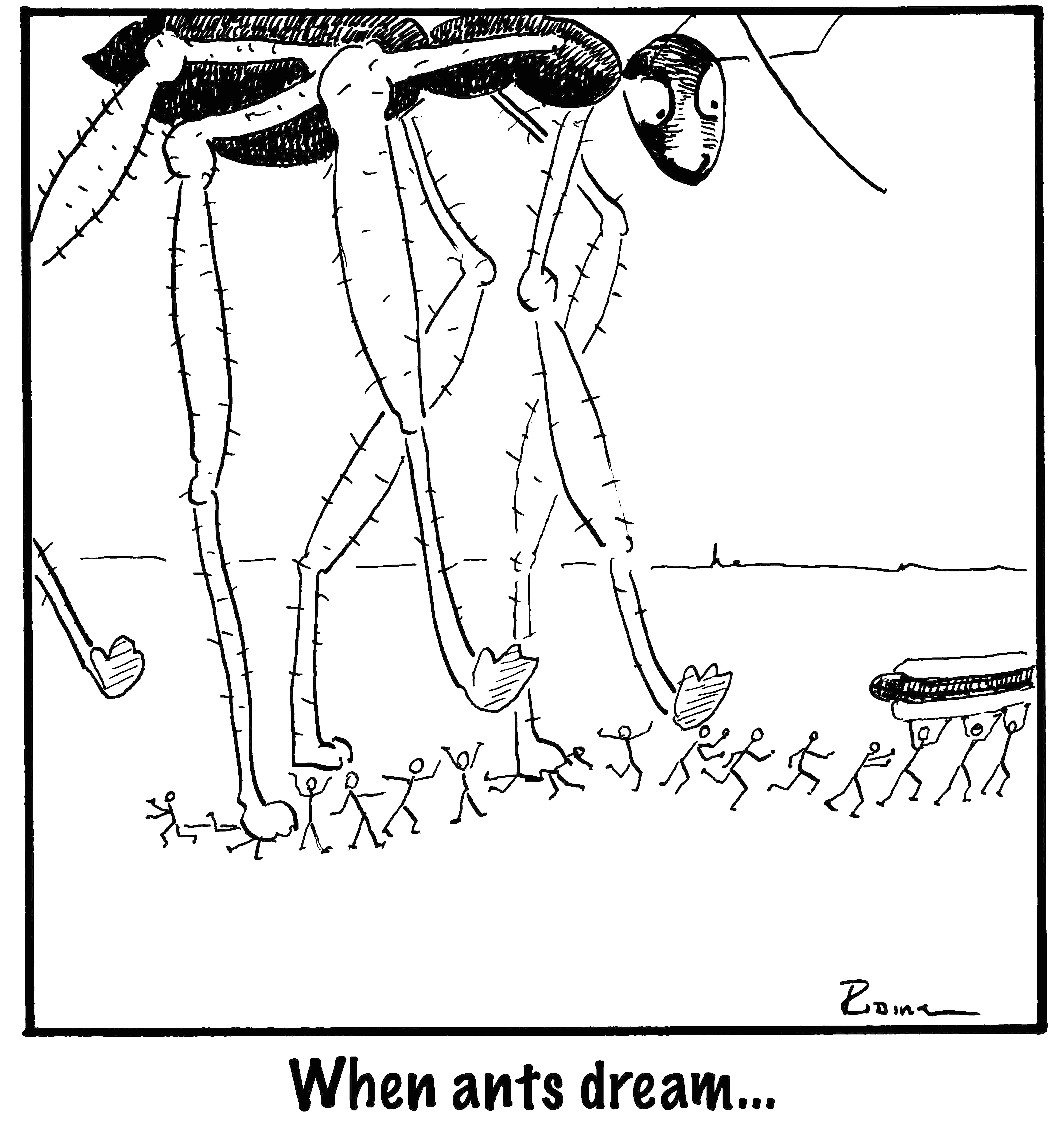 when ants dream jpegBIG copy