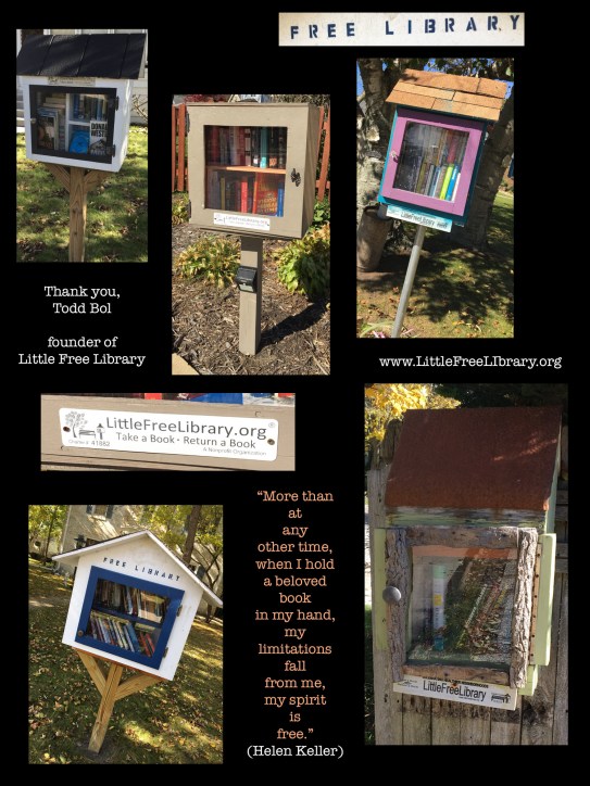 littlefreelibraryBOX copy