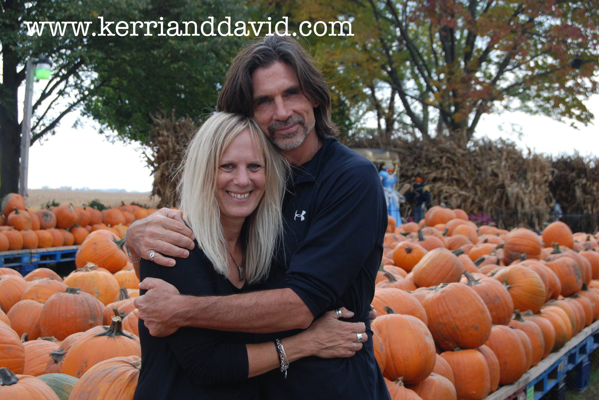 pumpkinfarm website box.jpg