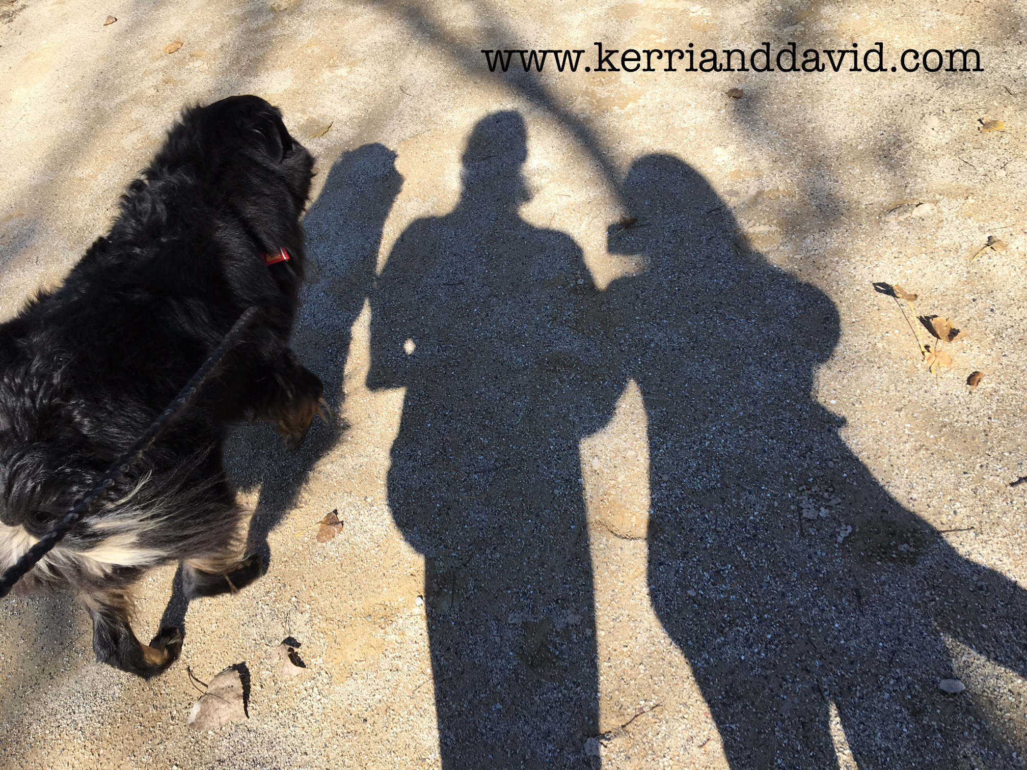 shadow des plaines river trailwebsite box copy