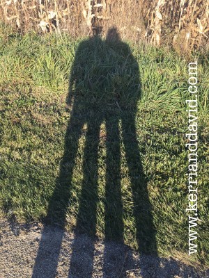 shadowsincorn WEBSITE box.jpg