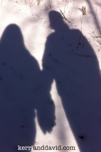 bong trail, wisconsin website box copy