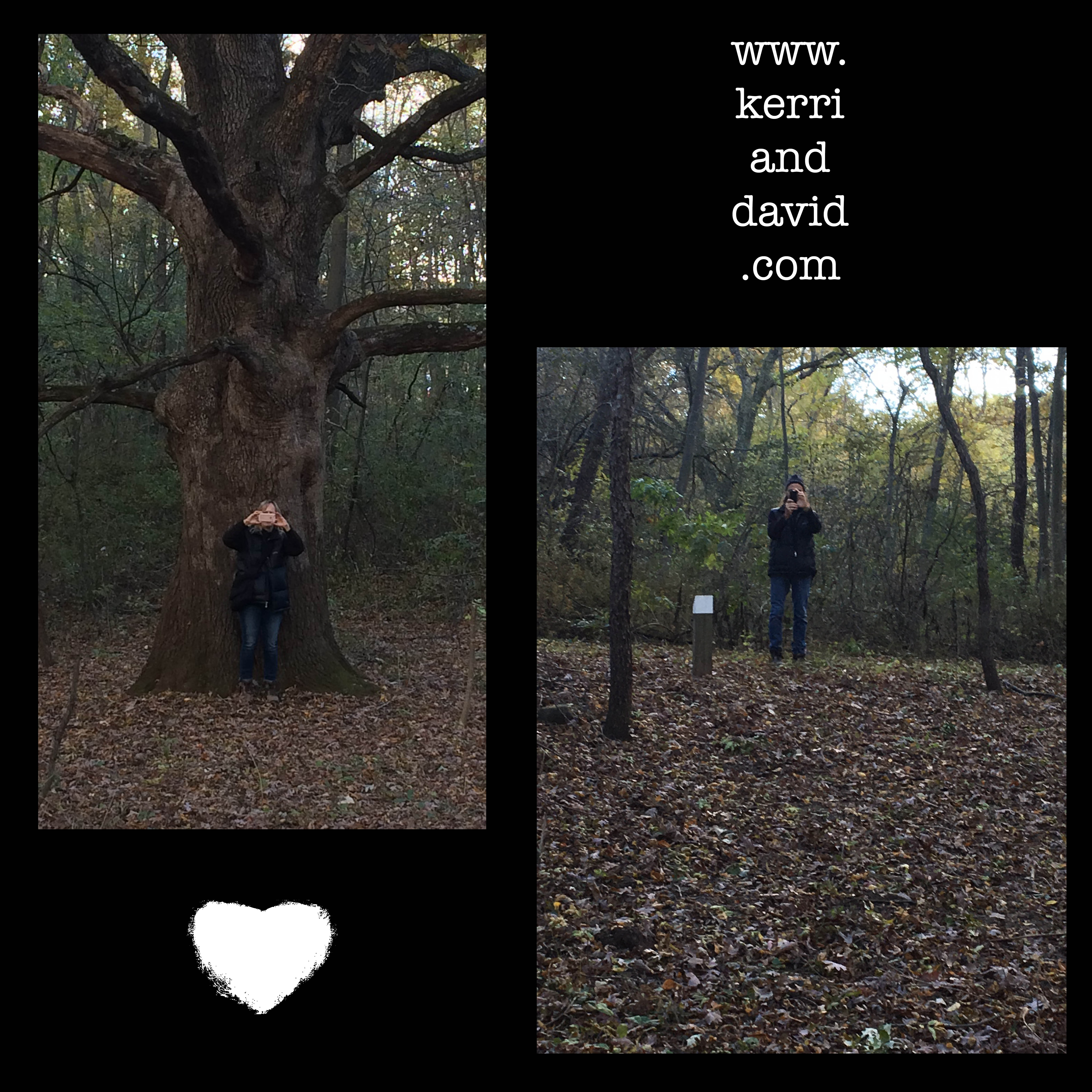 taking pix website box