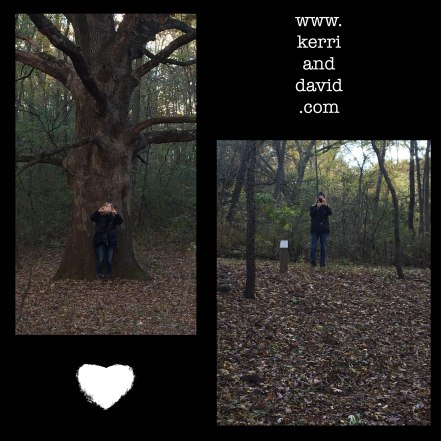 taking pix website box