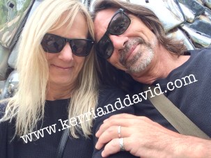 aspen silver bull website box