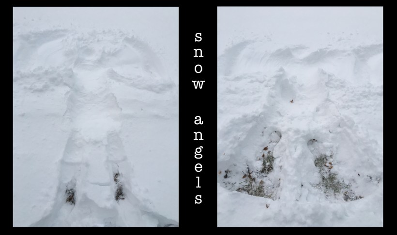 snow angels copy