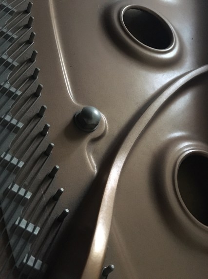 her palette - the piano