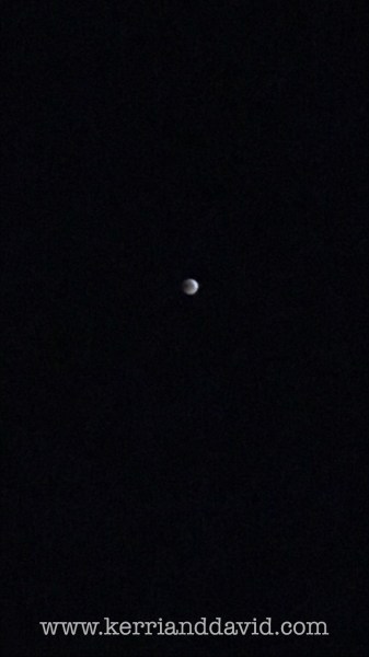 moon website box copy