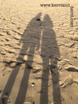 shadowscapecodwebsitebox