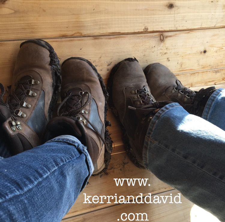 boots in megaphone website box