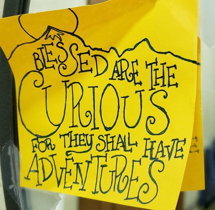 blessed are the curious copy