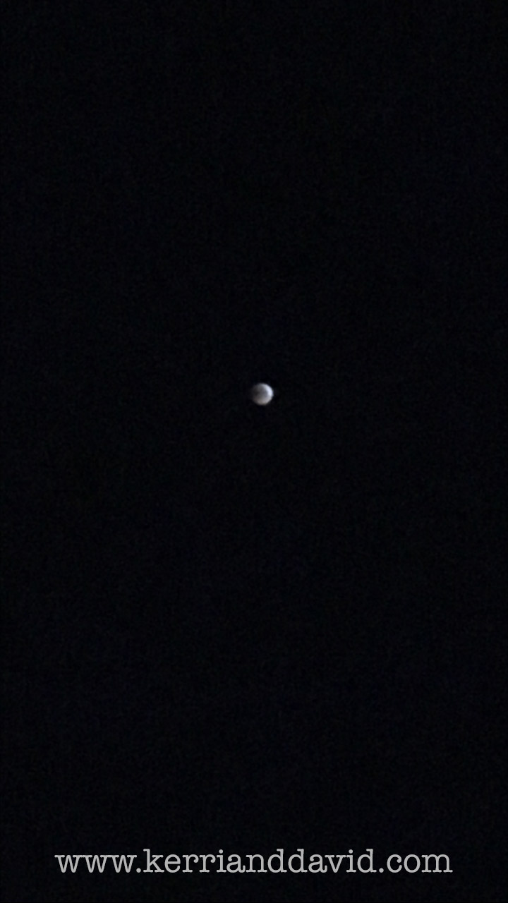 moon website box copy