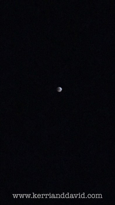 moon website box copy