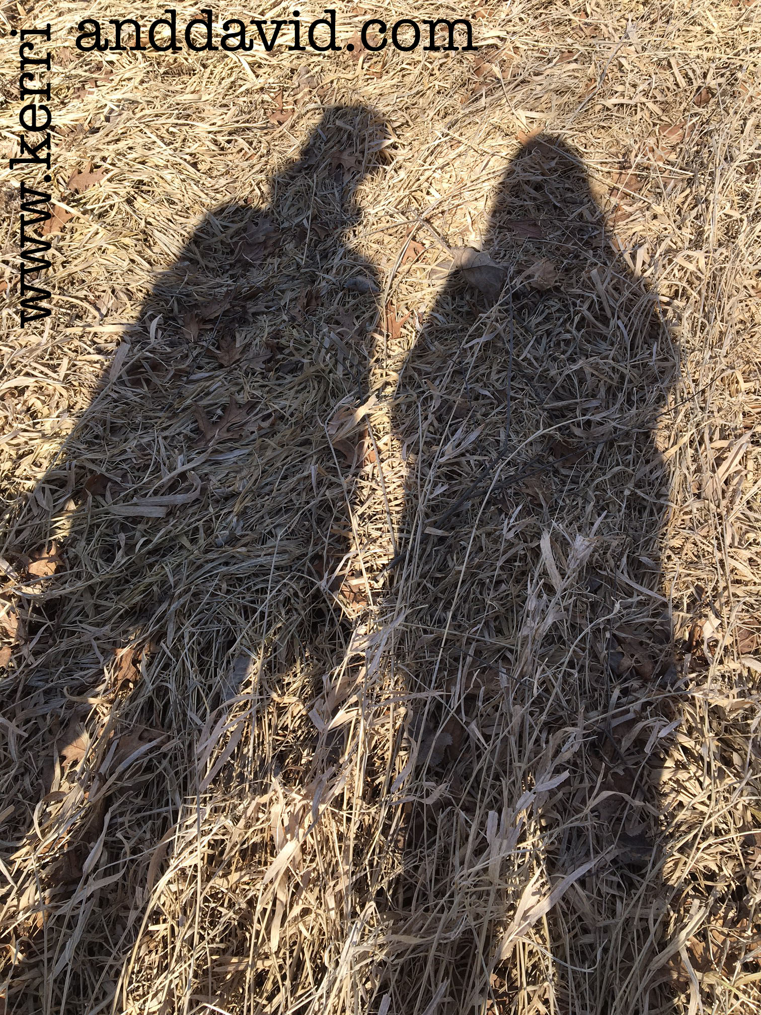 shadows des plaines website box