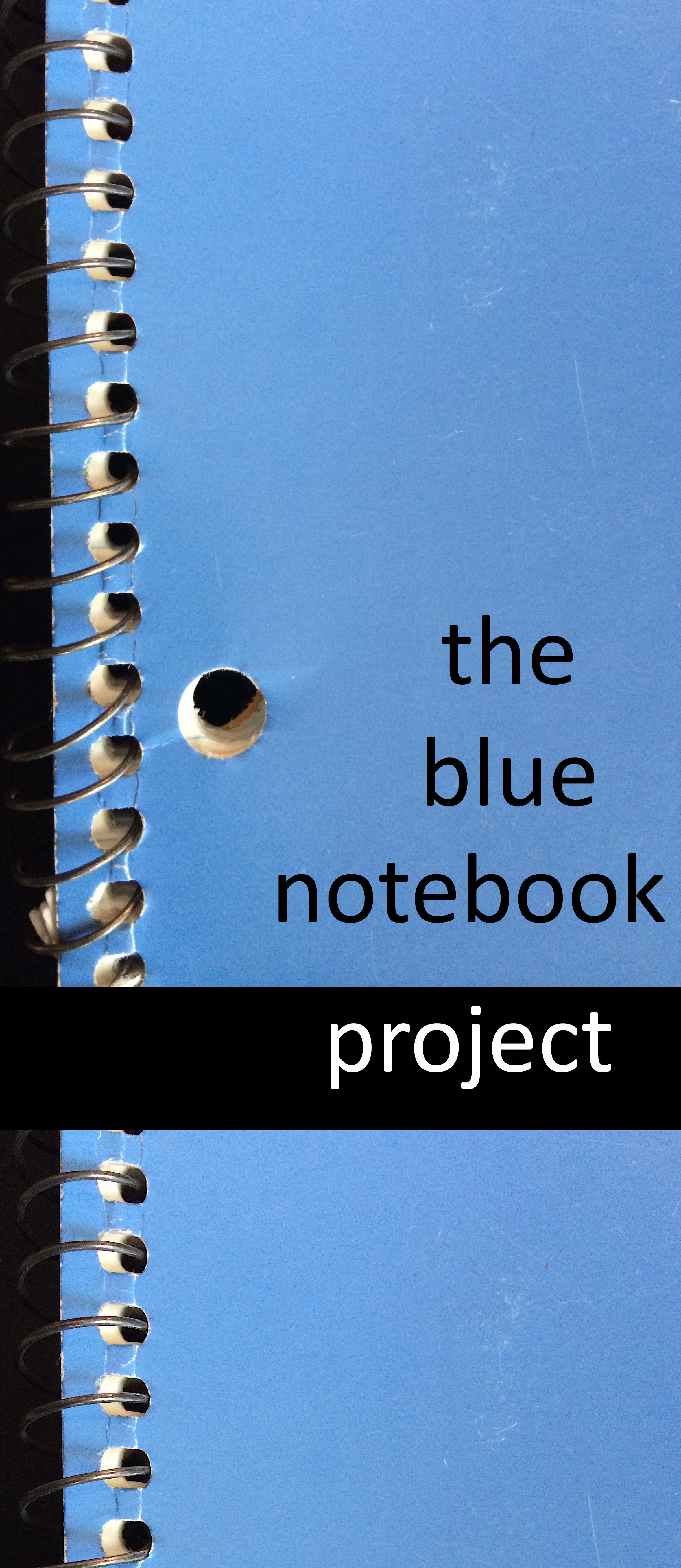 thebluenotebookproject