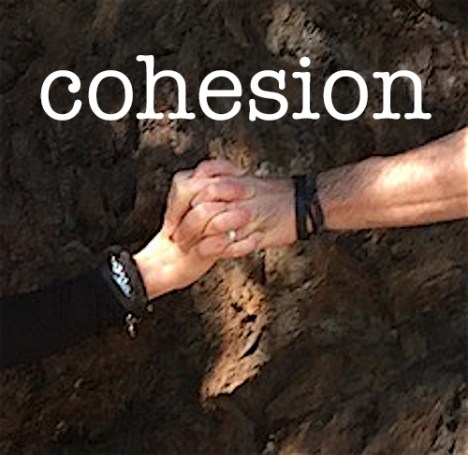 cohesion copy