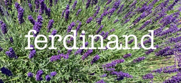 ferdinand