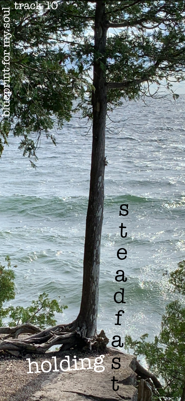 holdingsteadfast songbox.jpg