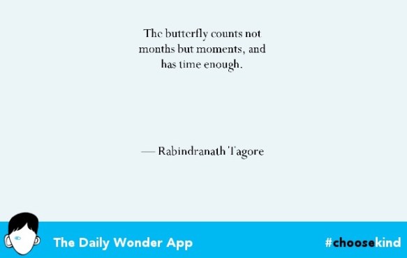 wonder app quote