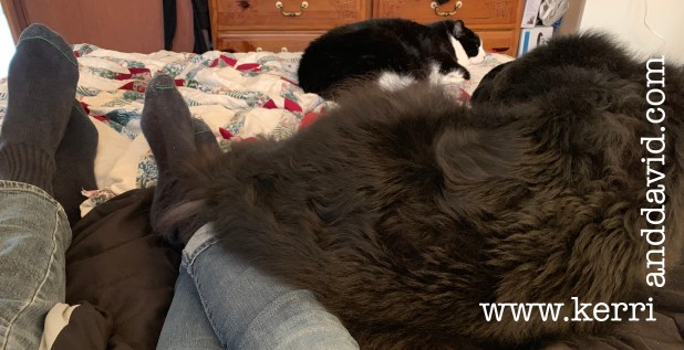 all of us on island website box.jpg