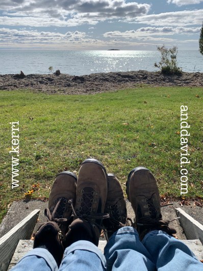 lastlittlehousefeet website box