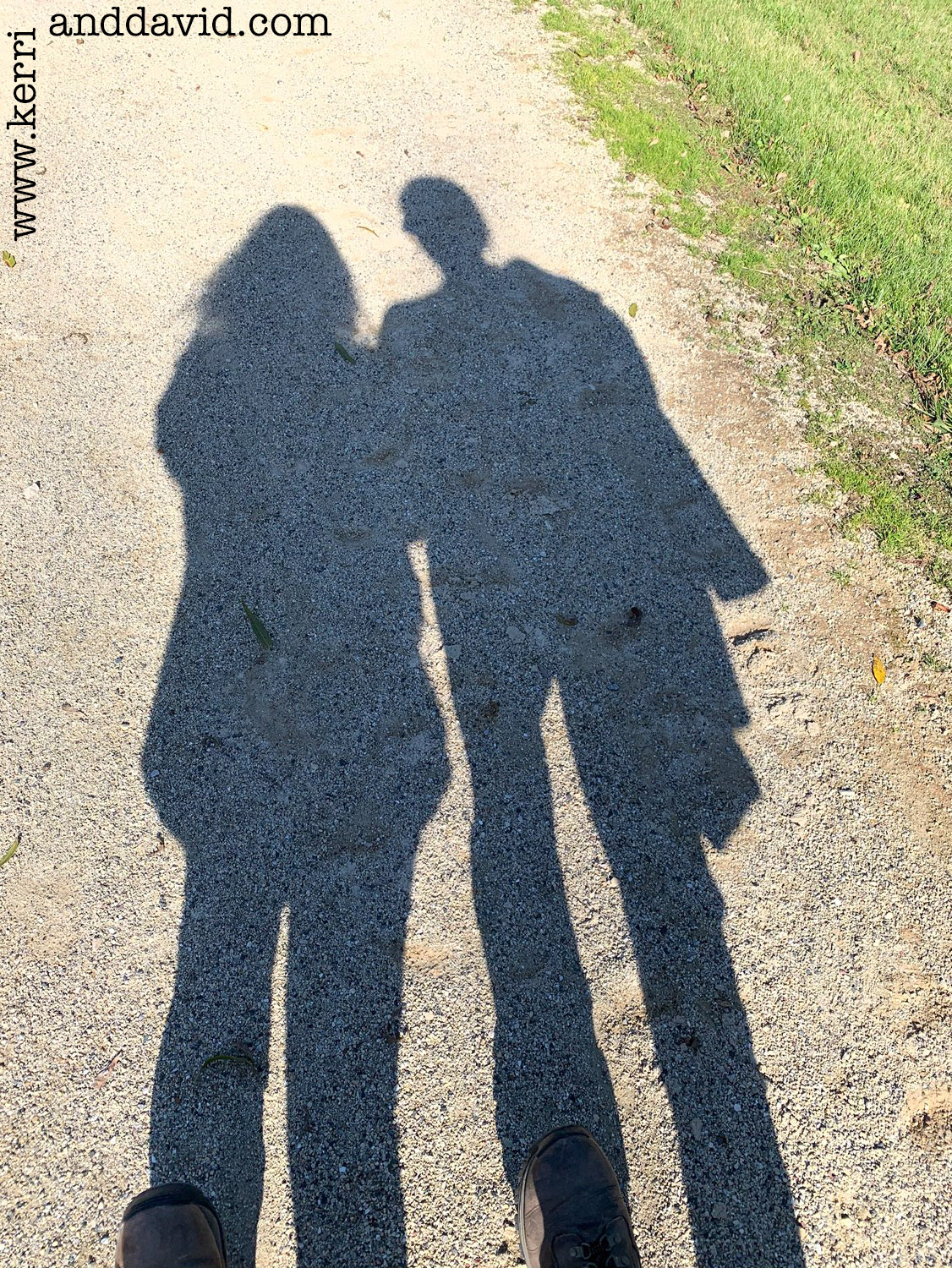 october shadows des plaines website box