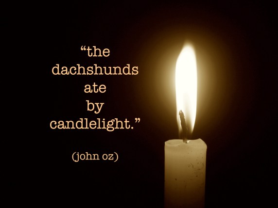 dachshunds candleight.jpg