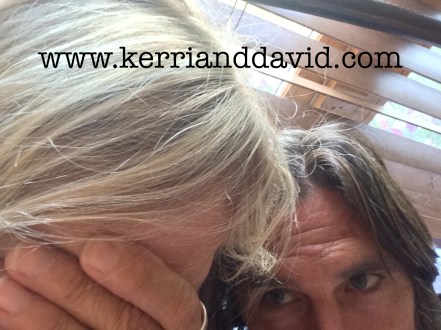 not our best morning minturn website box