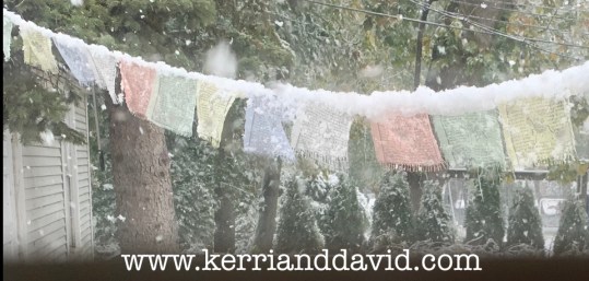 prayerflagsinsnow website box