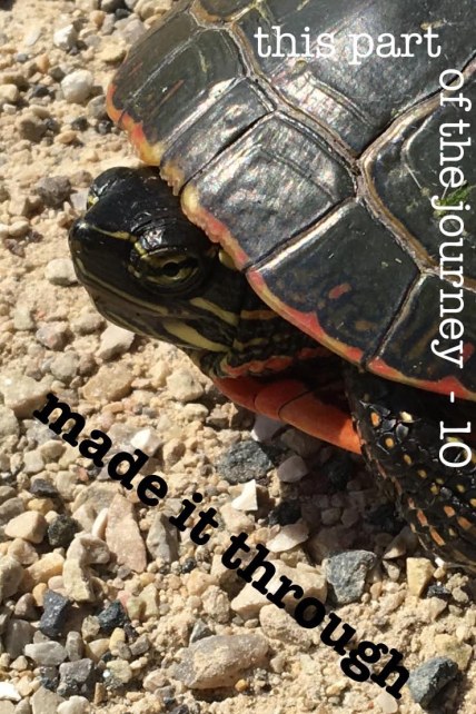 made it through songbox