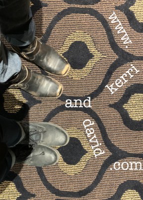 northern lights theatre website box