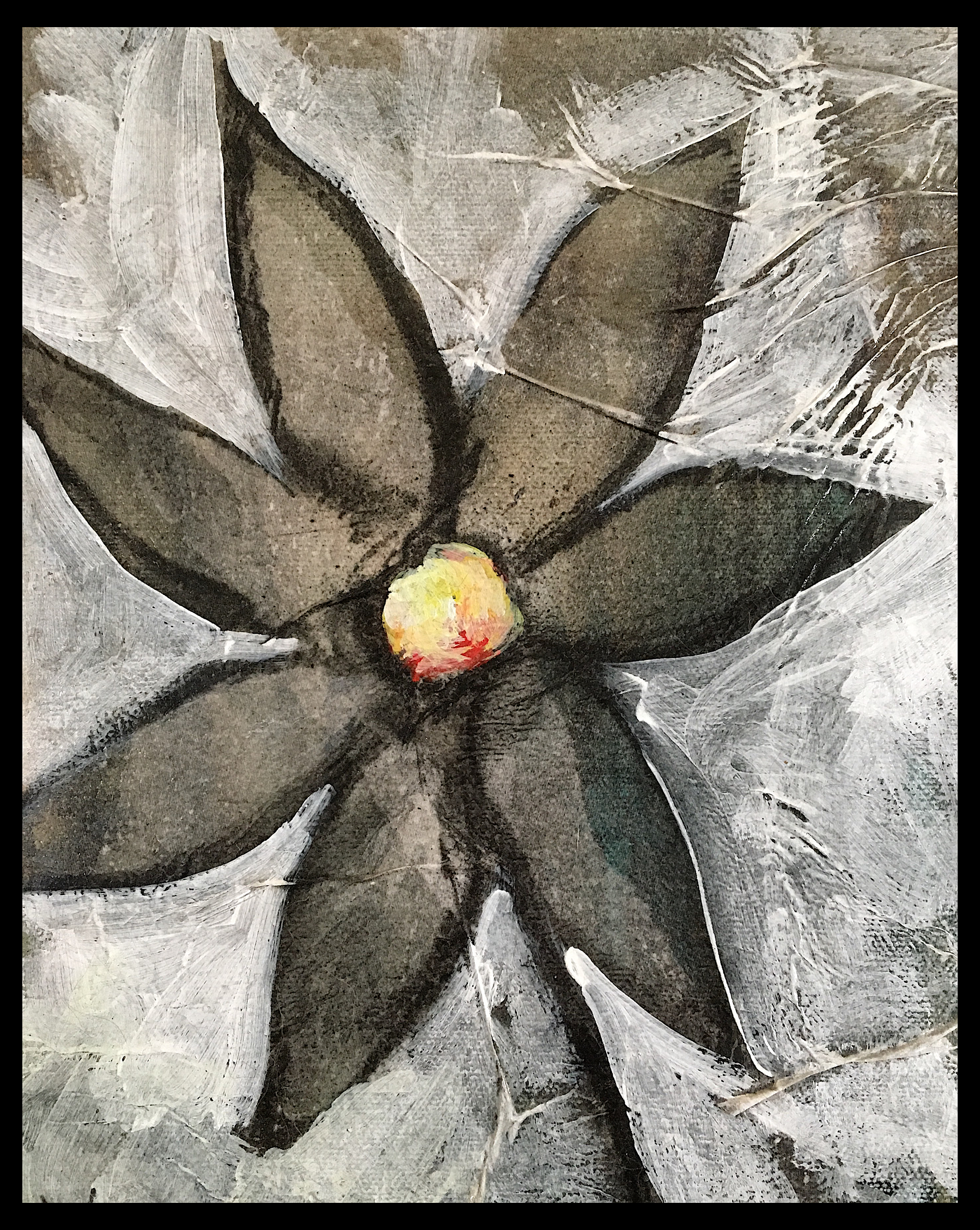 daisy framed copy jpeg