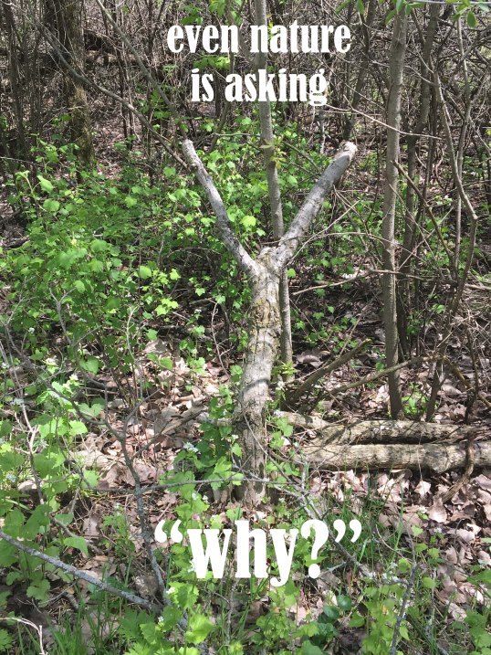 even nature is asking why