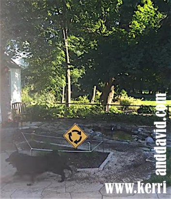 roundabout website box