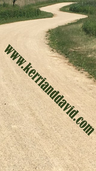 curve in the trail website box